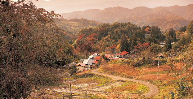 小川村秋の風景