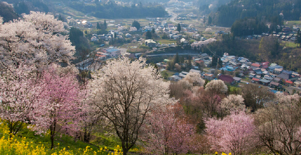 小川村春の風景