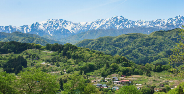小川村初夏の風景