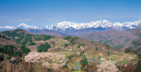 小川村春の風景