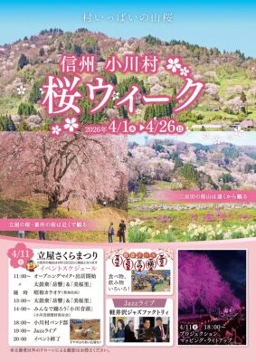 信州長野小川の庄縄文おやき村小川村さくら祭り